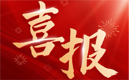 集团荣膺2025中国民营企业500强第249位，制造业民营企业500强第177位，排名较去年双双大幅提升