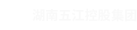 湖南不朽情缘mg官网控股集团有限公司